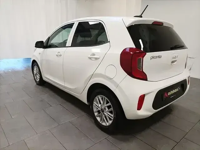 Gebraucht Kia Picanto Vision 84 PS (61 kW) 2024 Weiß Kleinwagen