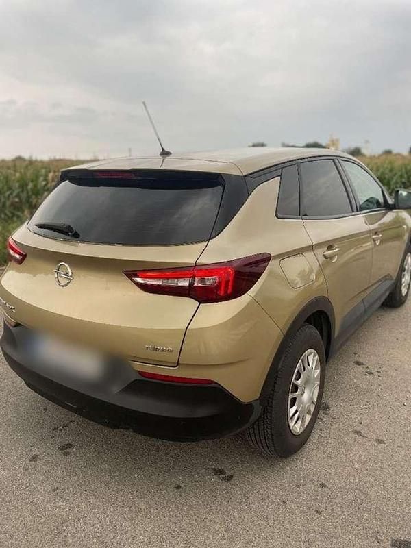 Gebraucht Opel Grandland X Innovation 131 PS (96 kW) 2019 Beige SUV