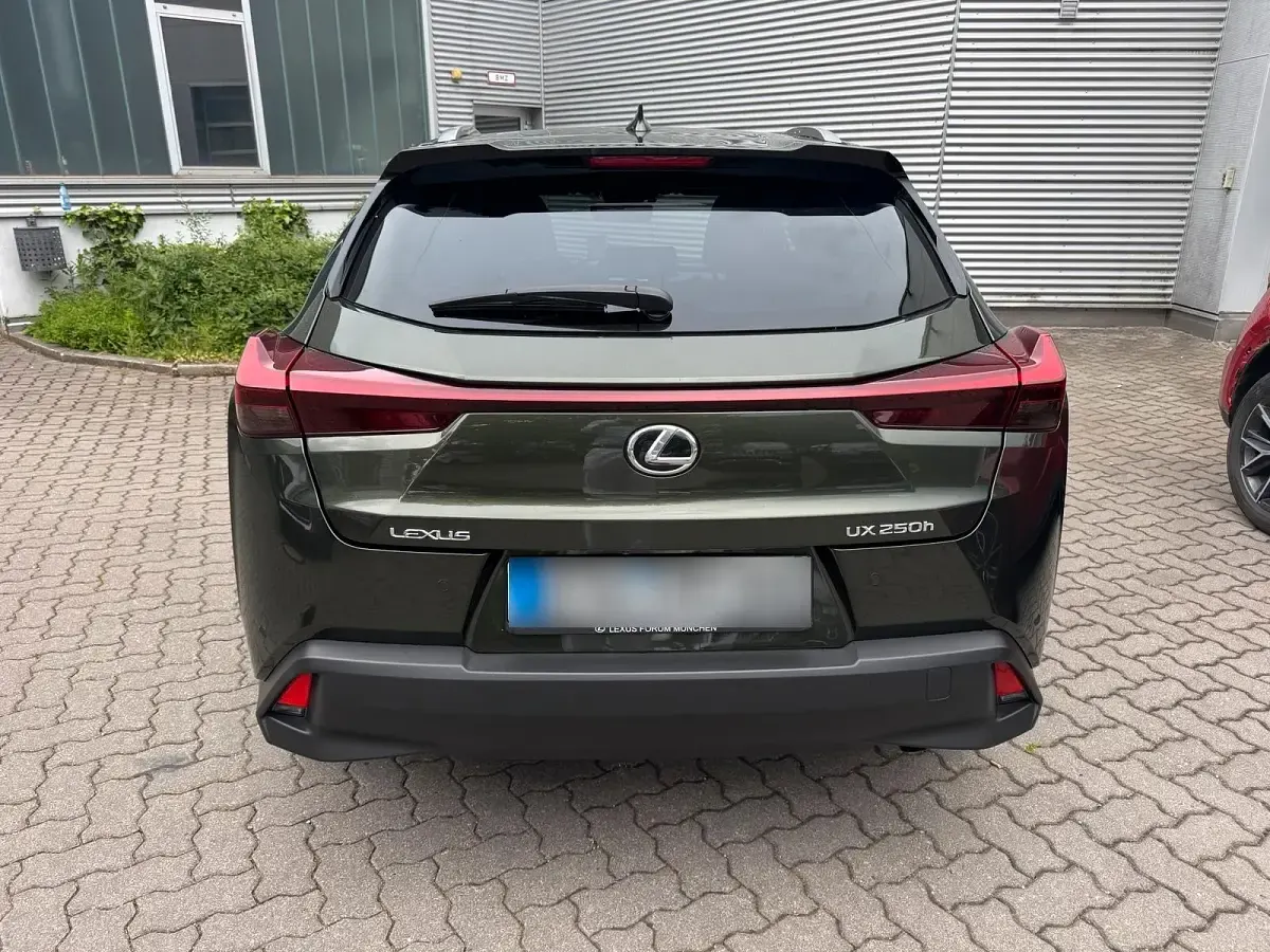 Gebraucht Lexus UX 184 PS (135 kW) 2023 Grün SUV