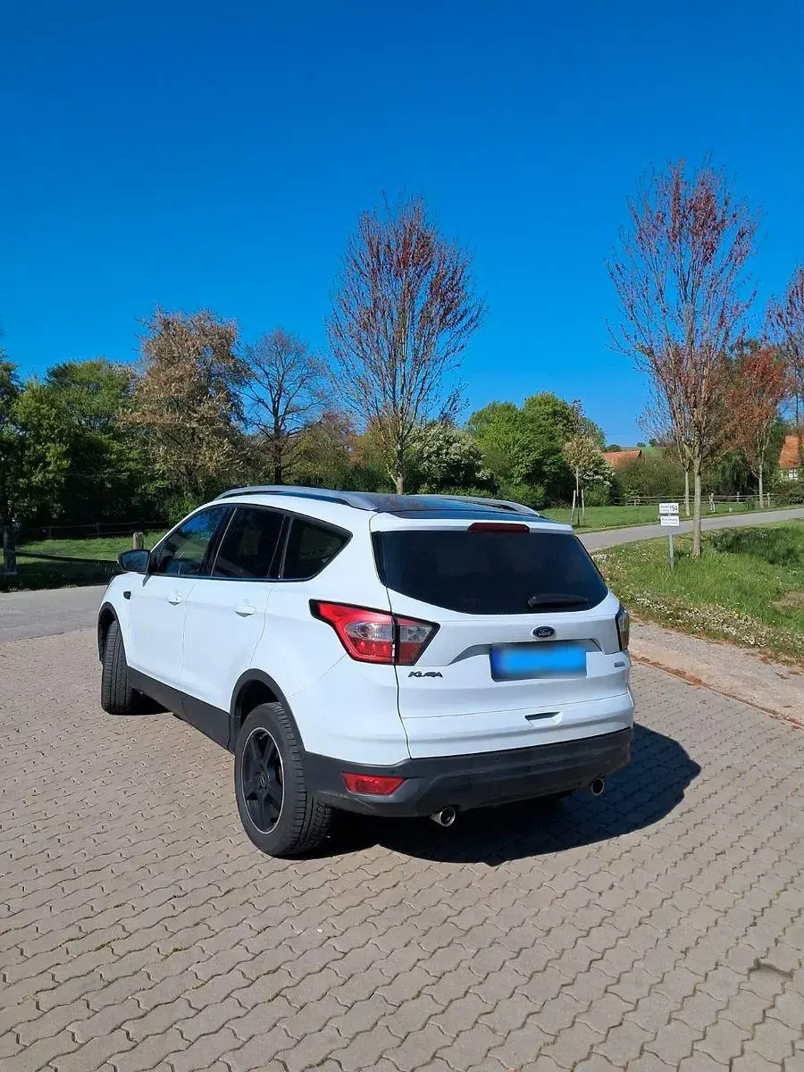 Gebraucht Ford Kuga Cool & Connect 150 PS (110 kW) 2019 Weiß SUV