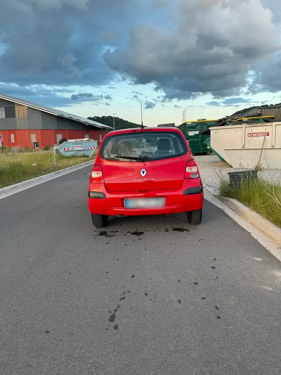 Gebraucht Renault Twingo 58 PS (42 kW) 2009 Rot Kleinwagen