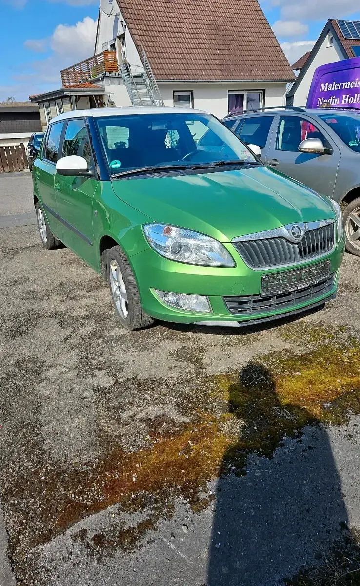 Gebraucht Skoda Fabia Monte Carlo 105 PS (77 kW) 2014 Grün Kleinwagen