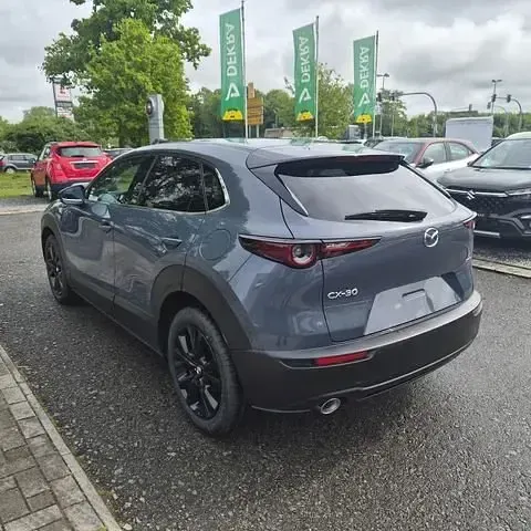 Neu Mazda CX-30 Homura-Line 186 PS (136 kW) 2026 SUV