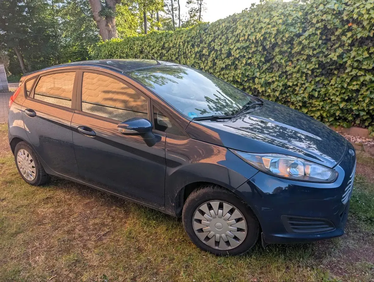Gebraucht Ford Fiesta 95 PS (69 kW) 2014 Blau Kleinwagen