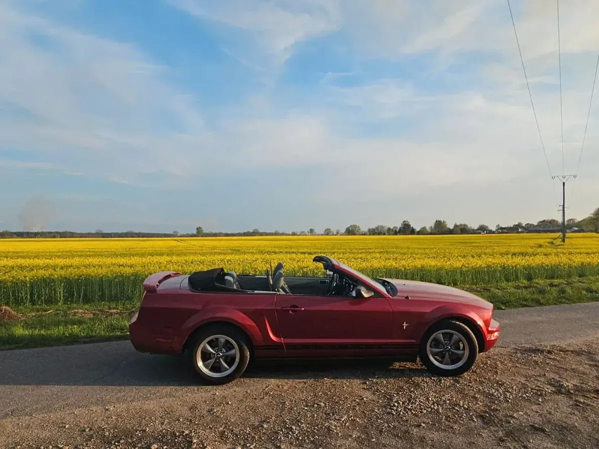 Gebraucht Ford Mustang 205 PS (150 kW) 2005 Rot Cabrio