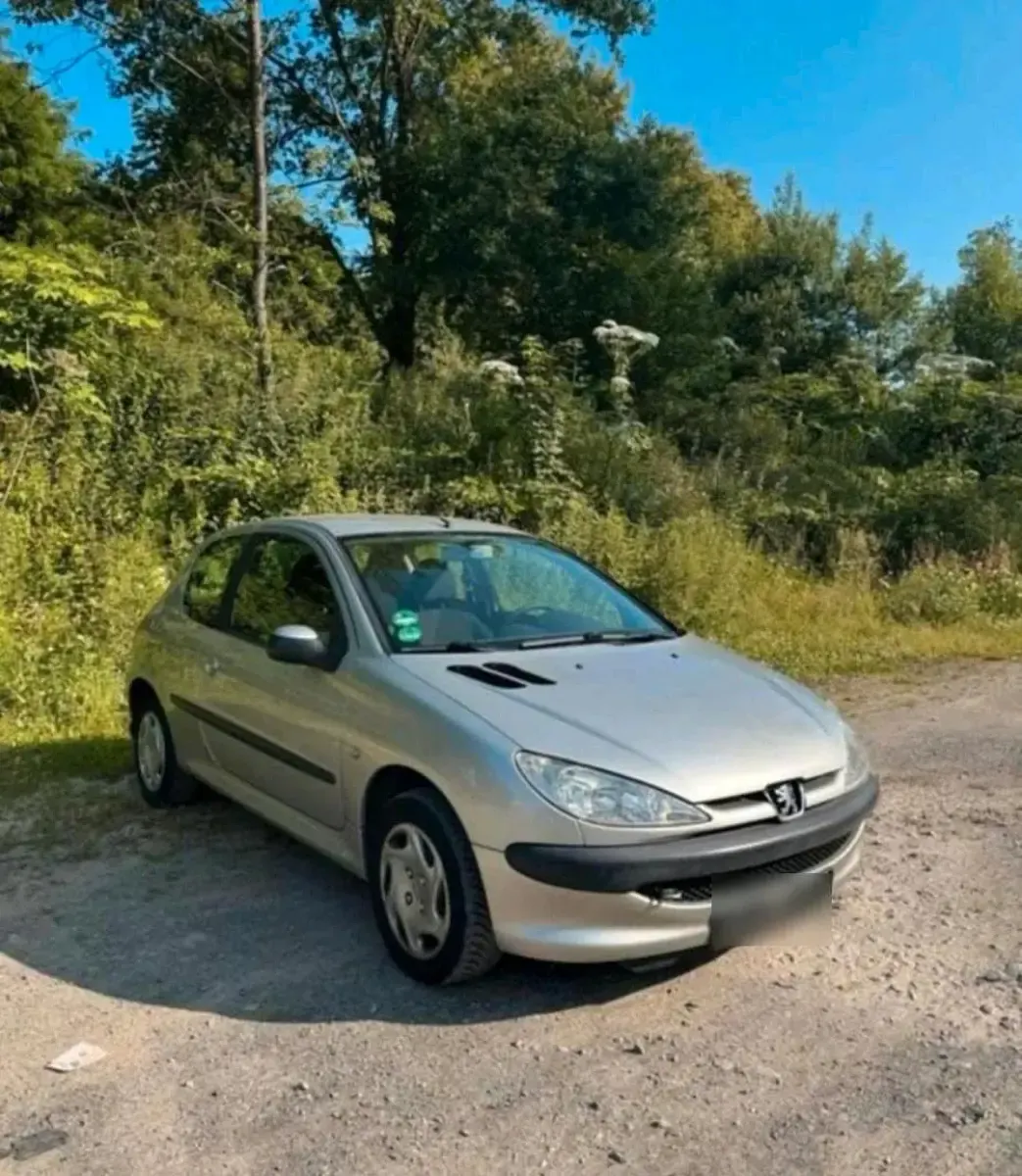 Używany Peugeot 206 60 KM (44 kW) 2004 Srebrny Hatchback