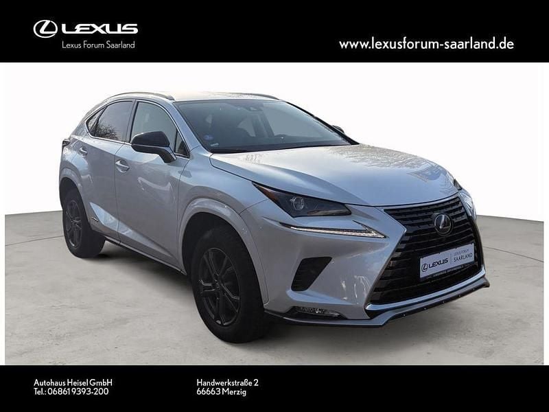 Gebraucht Lexus NX300h 197 PS (144 kW) 2021 Weiß SUV