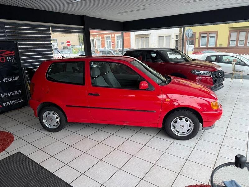 Usata VW Polo 60 CV (44 kW) 1997 Rosso