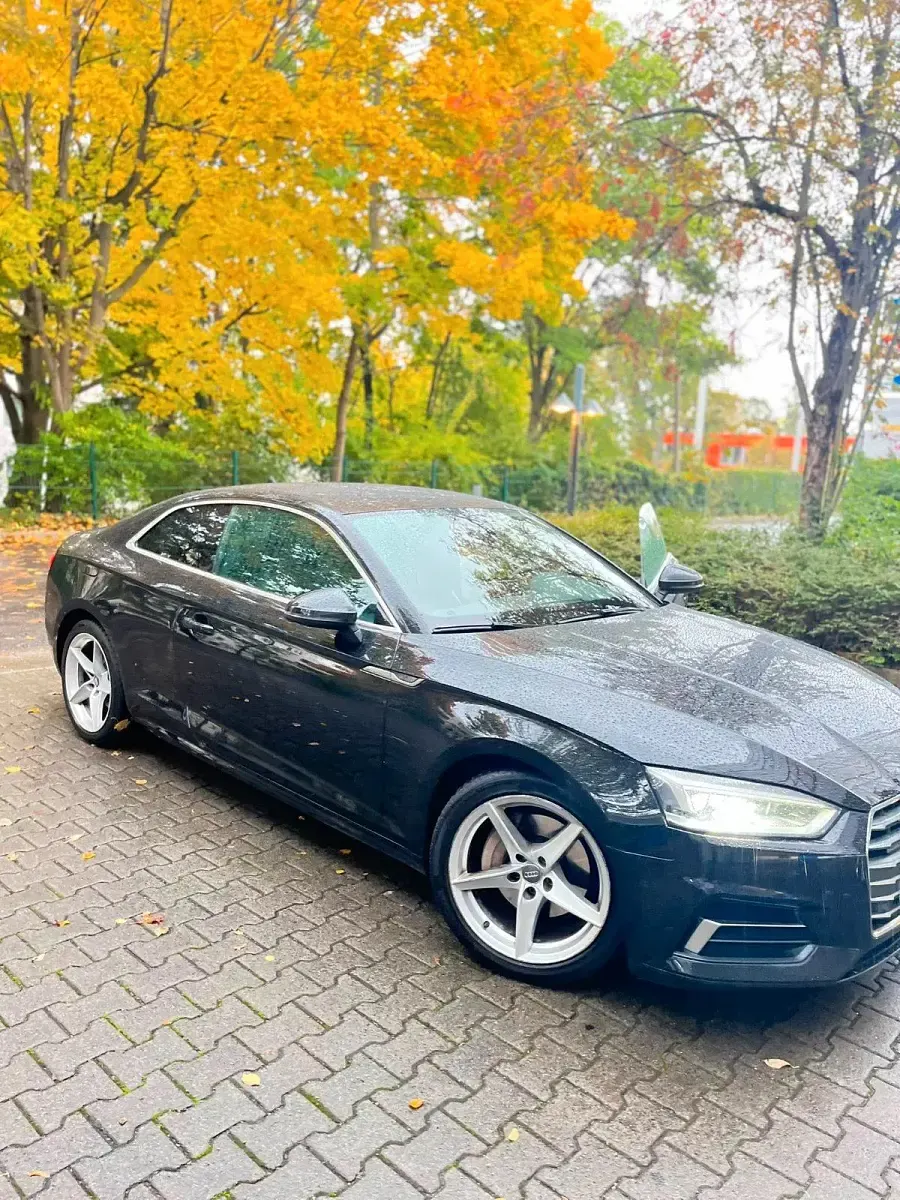 Gebraucht Audi A5 Design 218 PS (160 kW) 2017 Schwarz Coupé
