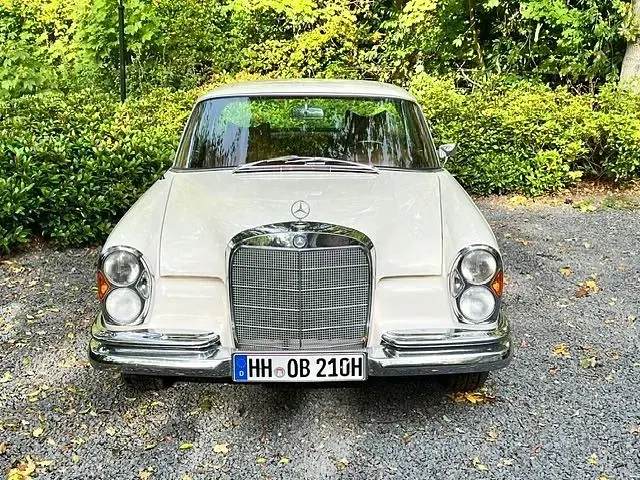 Gebraucht Mercedes W111 150 PS (110 kW) 1969 Weiß