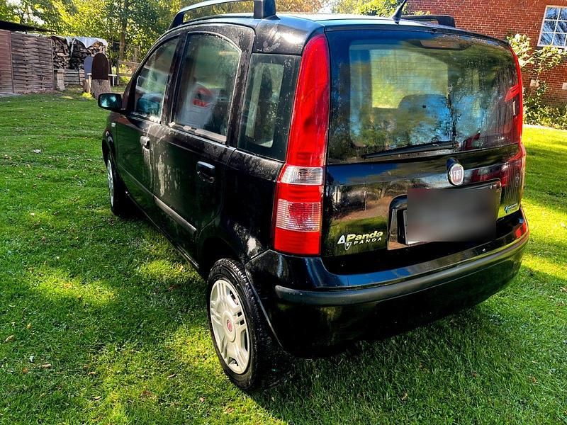 Gebraucht Fiat Panda 60 PS (44 kW) 2008 Schwarz Kleinwagen