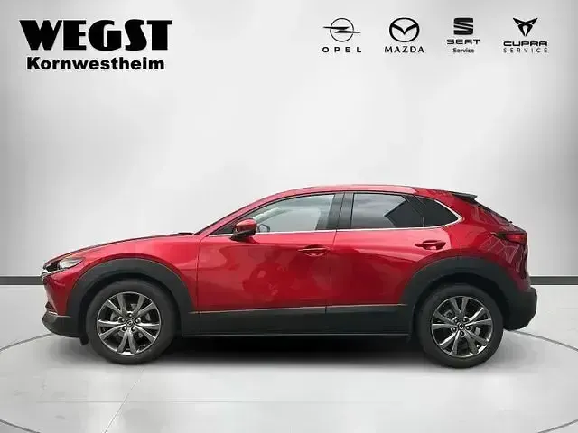 Gebraucht Mazda CX-30 Selection 180 PS (132 kW) 2020 Andere SUV