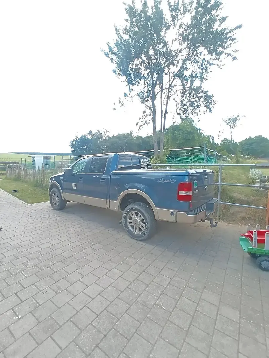Gebraucht Ford F-150 305 PS (224 kW) 2005 Blau Pickup