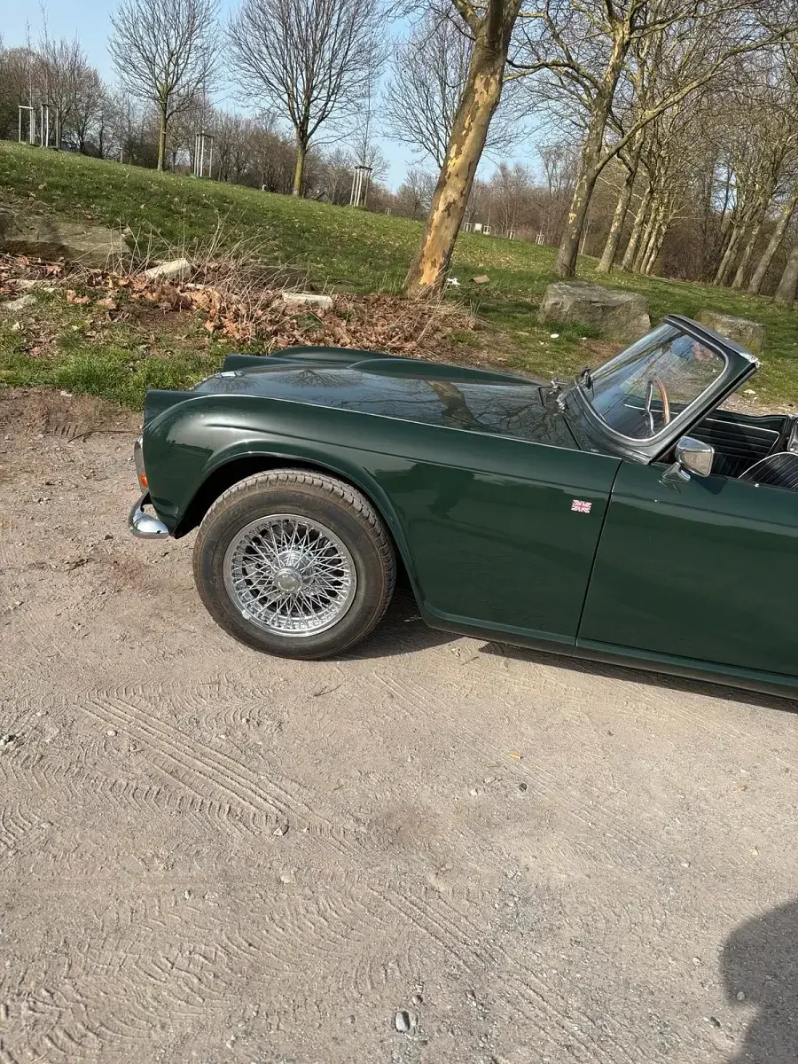 Gebraucht Triumph TR4 100 PS (73 kW) 1964 Grün Cabrio