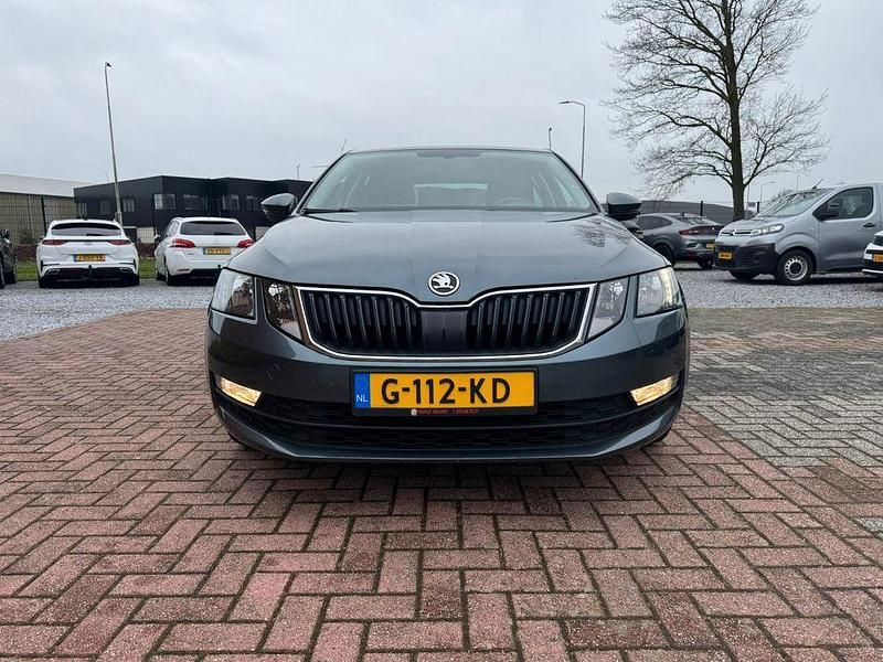 Gebraucht Skoda Octavia 116 PS (85 kW) 2019 Grau Limousine