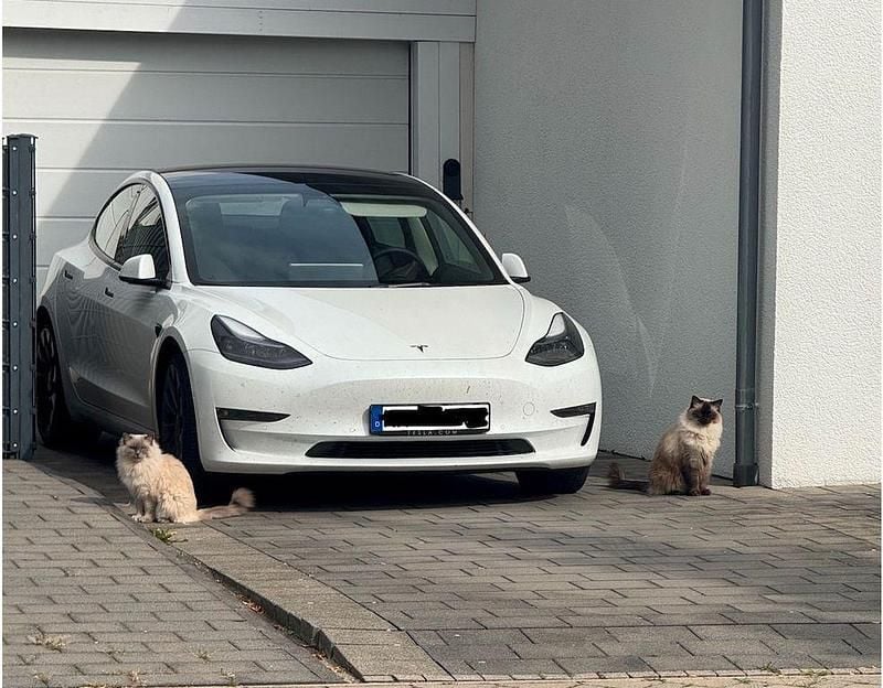 Weiß Gebraucht 2021 Tesla Model 3 Limousine | 22.000 € (Superpreis) - Bild 1/4