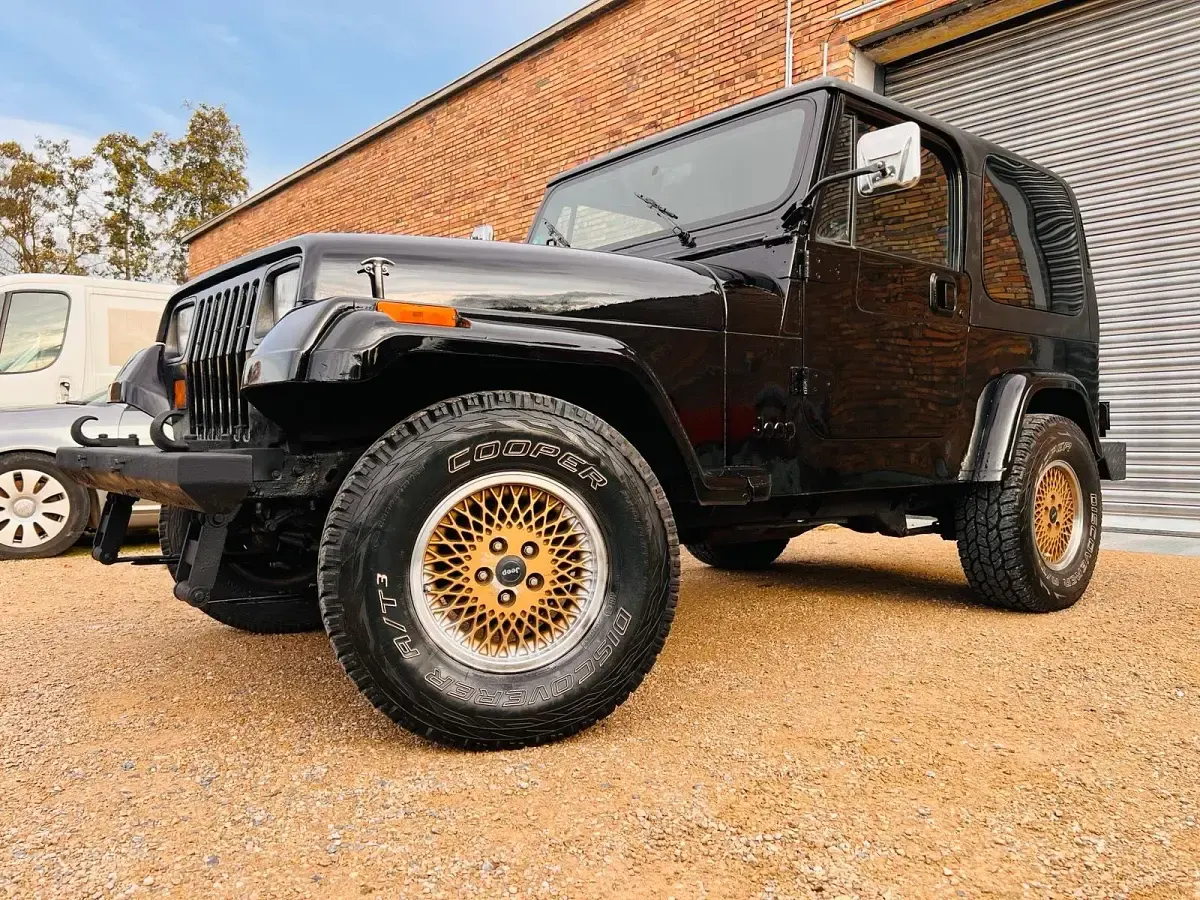 Usata Jeep Wrangler 177 CV (130 kW) 1994 Nero SUV