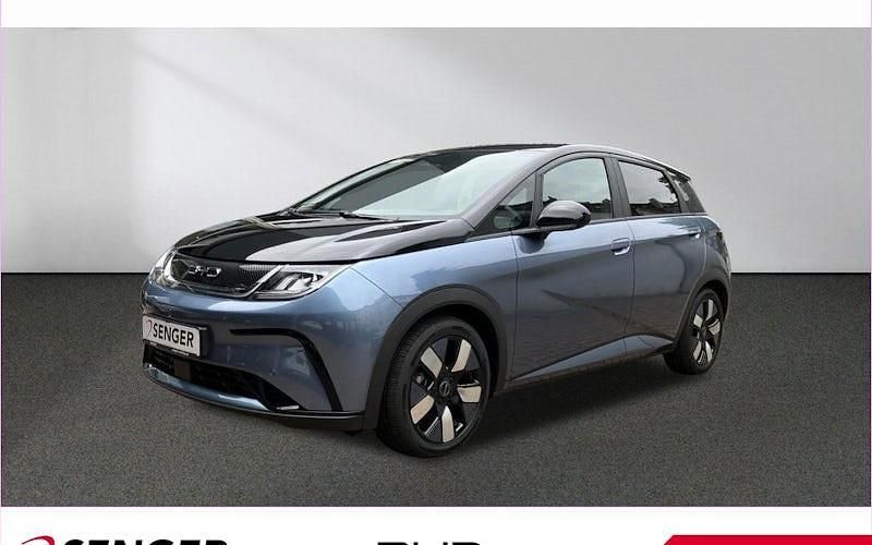 Grau Gebraucht 2025 BYD Dolphin Design Kleinwagen | 27.790 € (Guter Preis) - Bild 1/4