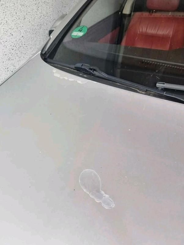 Gebraucht Opel Astra 190 PS (139 kW) 2001 Silber Coupé