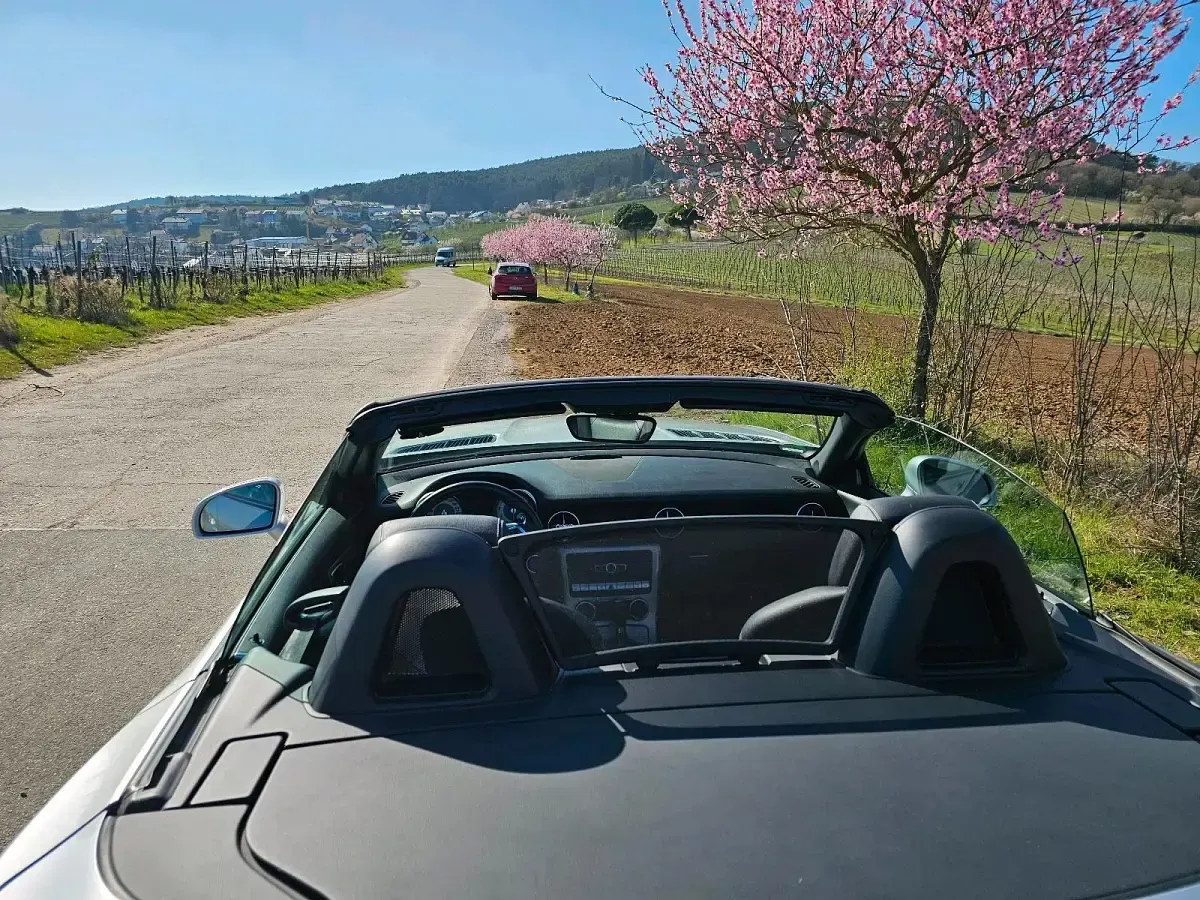Gebraucht Mercedes SLK200 184 PS (135 kW) 2012 Silber Cabrio