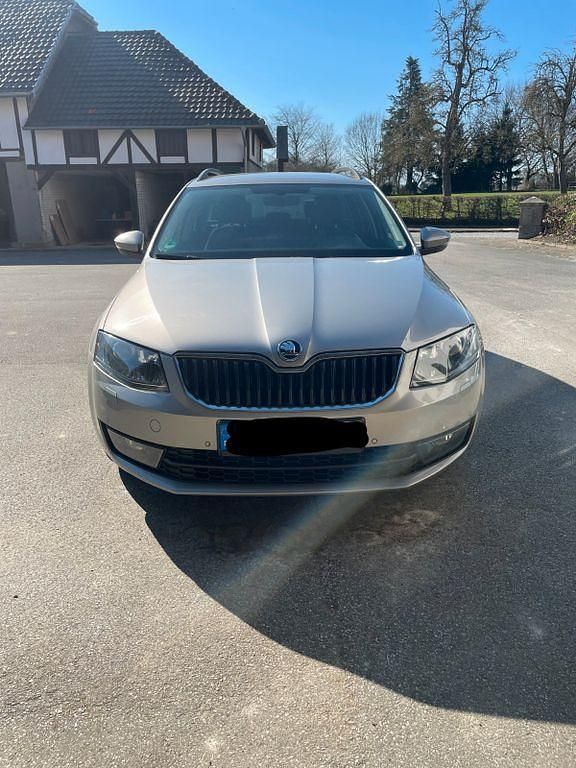 Gebraucht Skoda Octavia Joy 110 PS (80 kW) 2017 Grau Kombi