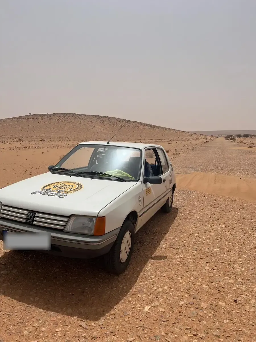 Gebraucht Peugeot 205 54 PS (39 kW) 1988 Weiß Kleinwagen
