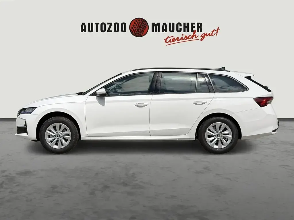 Neu Skoda Octavia Selection 116 PS (85 kW) 2026 Weiß Limousine