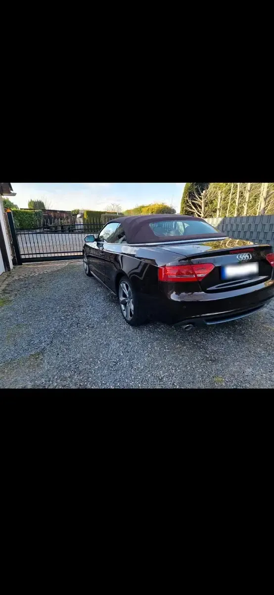 Używany Audi A5 Cabriolet 240 KM (176 kW) 2009 Brązowy Kabriolet