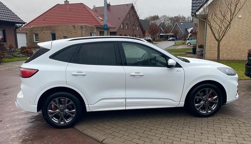 Gebraucht Ford Kuga ST-Line 120 PS (88 kW) 2024 Weiß SUV