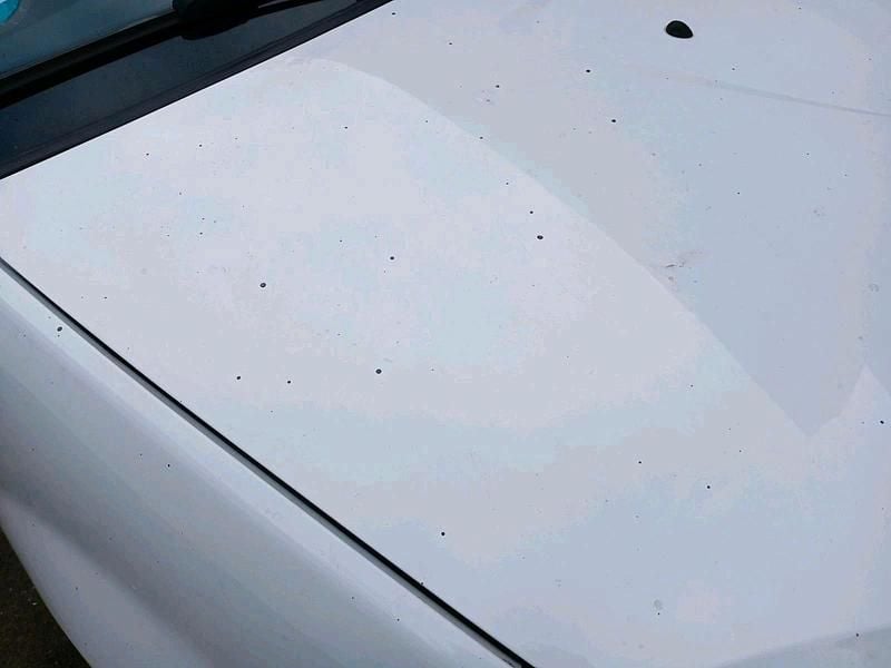 Gebraucht Dacia Sandero 75 PS (55 kW) 2009 Weiß Kleinwagen