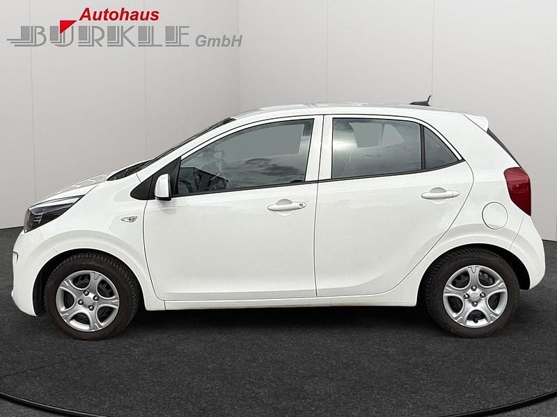 Gebraucht Kia Picanto Edition 7 67 PS (49 kW) 2023 Weiß Kleinwagen