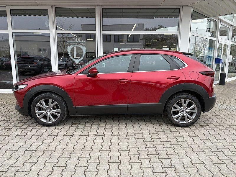 Gebraucht Mazda CX-30 Selection 116 PS (85 kW) 2020 Rot SUV