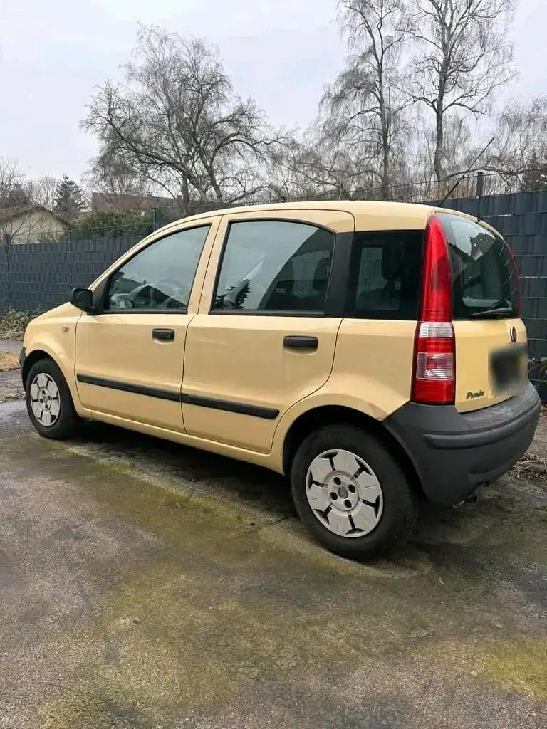 Occasion Fiat Panda 60 ch (44 kW) 2009 Jaune Citadine