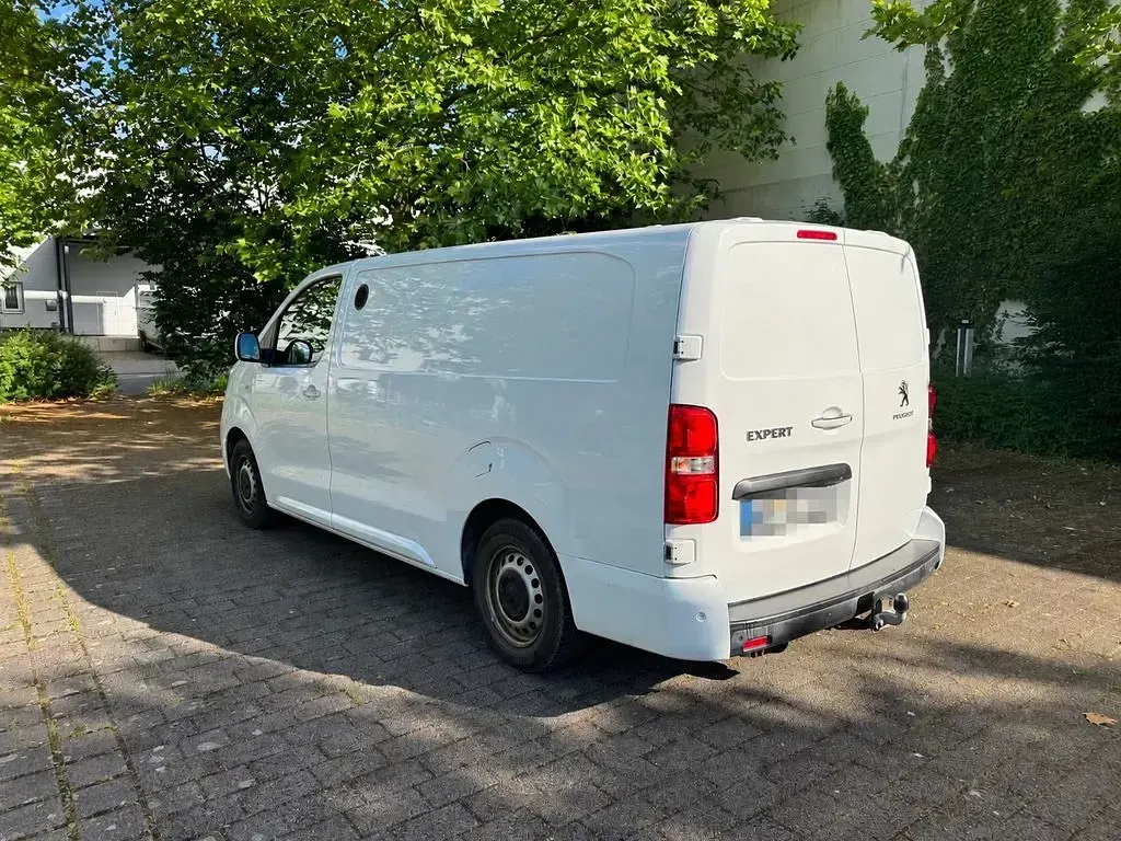 Gebraucht Peugeot Expert 177 PS (130 kW) 2020 Weiß Van