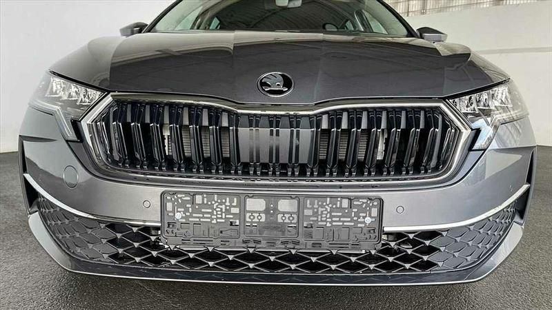 Gebraucht Skoda Octavia Selection 150 PS (110 kW) 2024 Grau Kombi