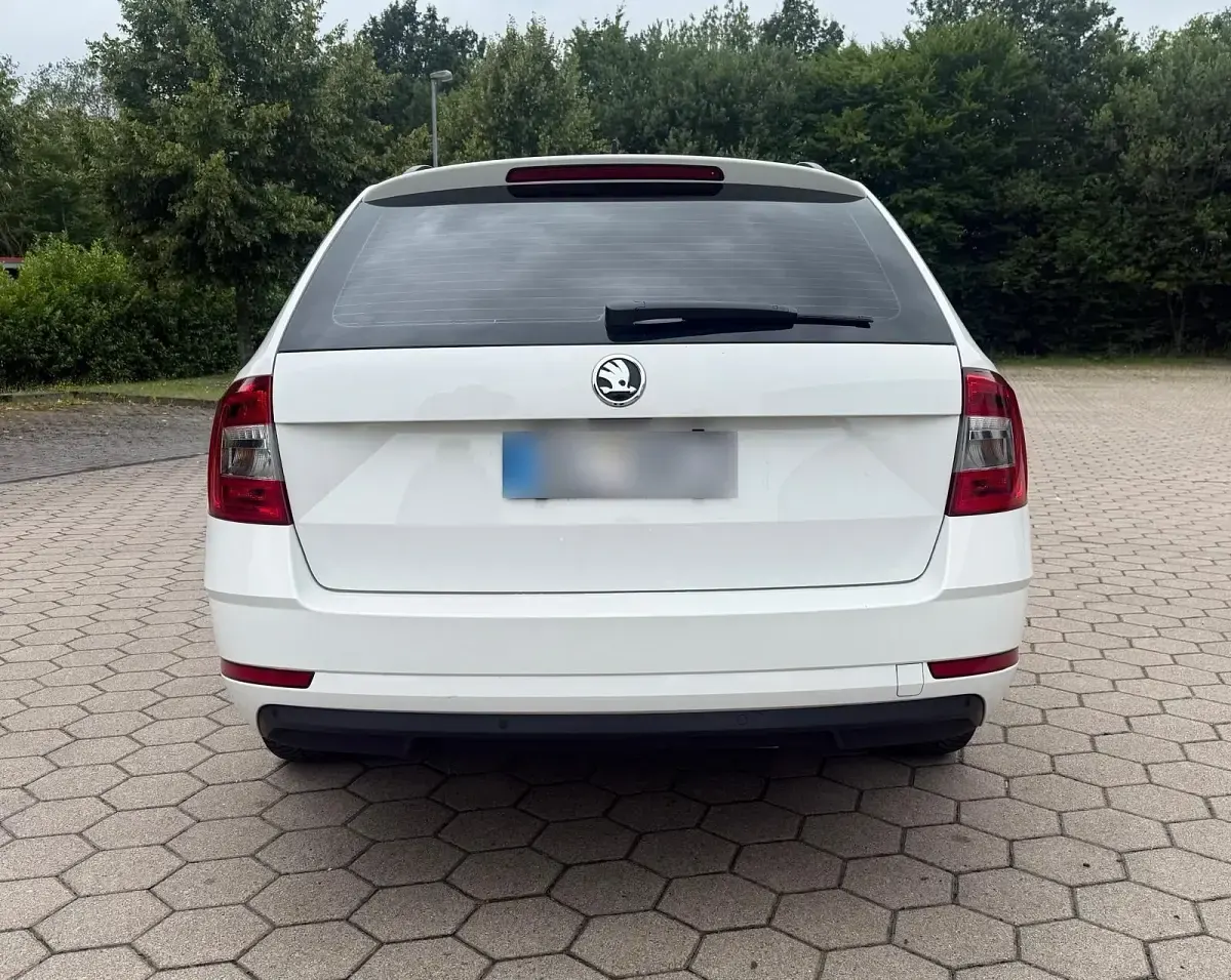 Gebraucht Skoda Octavia 150 PS (110 kW) 2020 Weiß Kombi