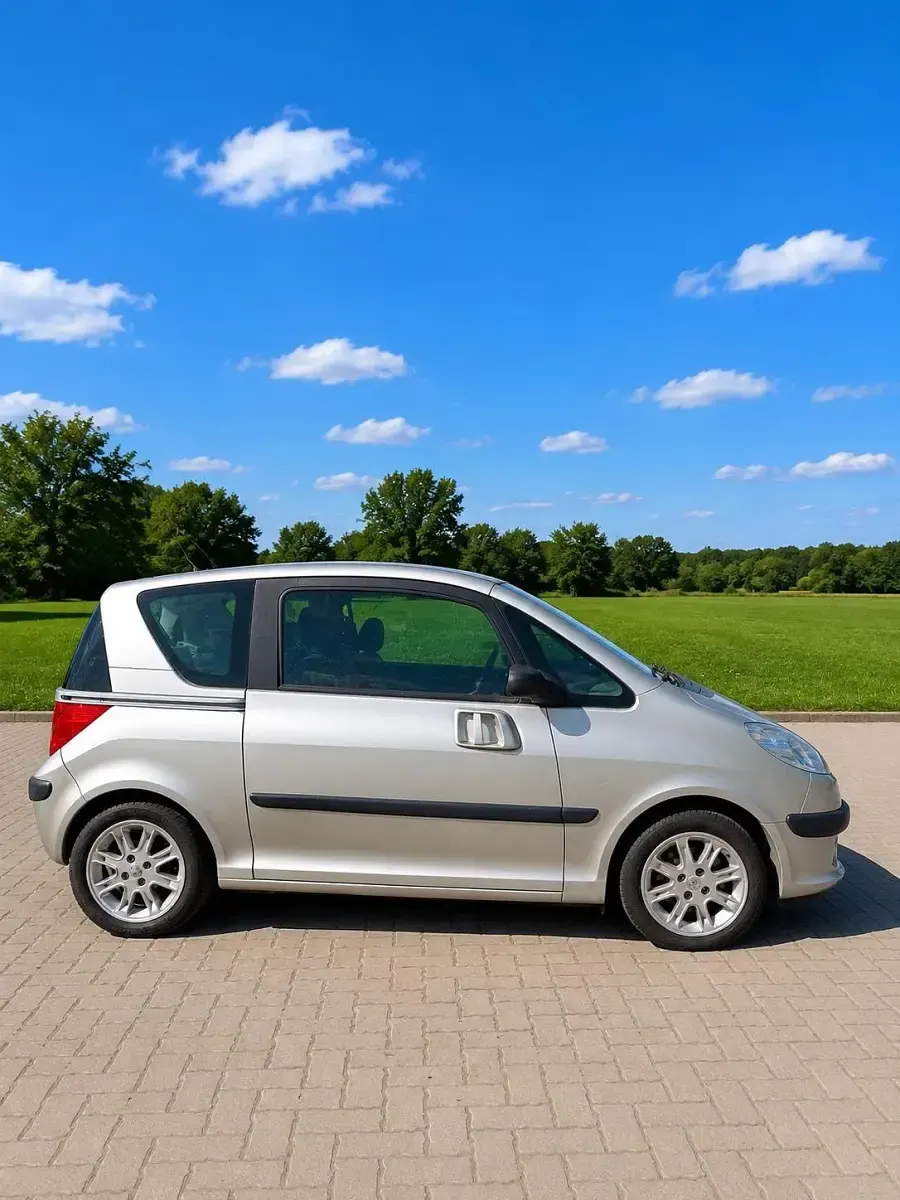 Gebraucht Peugeot 1007 107 PS (78 kW) 2006 Grau Van / Kleinbus