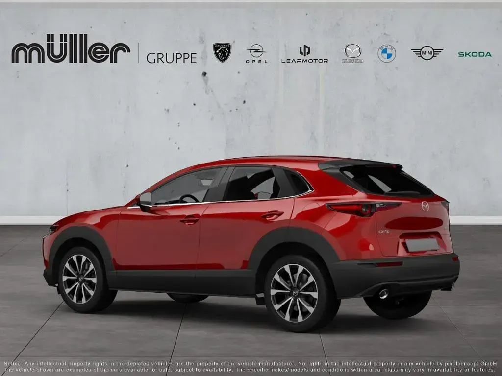 Gebraucht Mazda CX-30 Selection 122 PS (89 kW) 2020 Soul red crystal SUV
