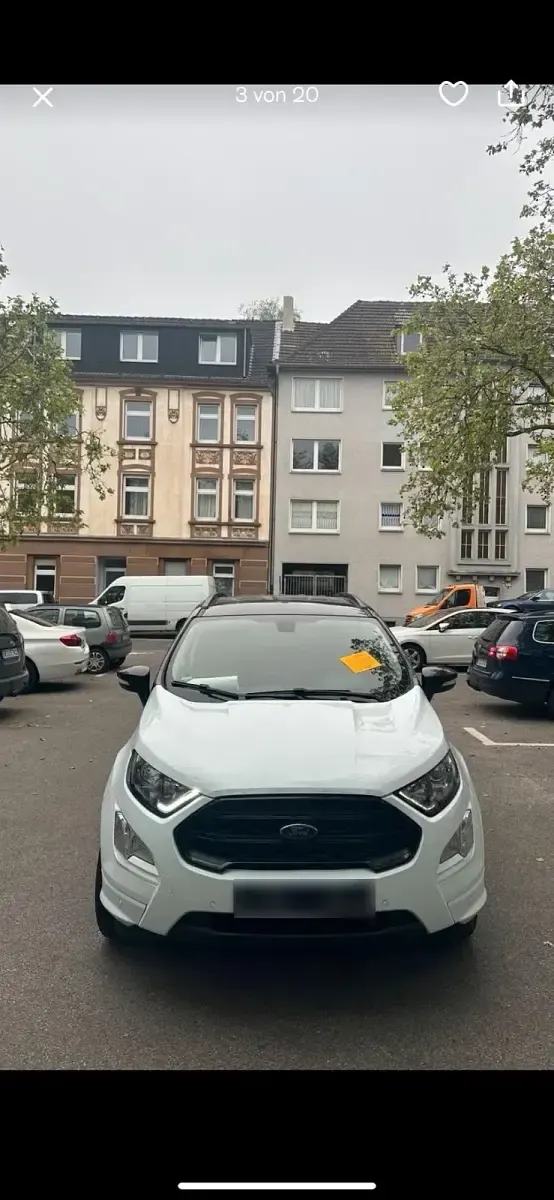 Używany Ford Focus ST-Line 125 KM (91 kW) 2019 Biały SUV