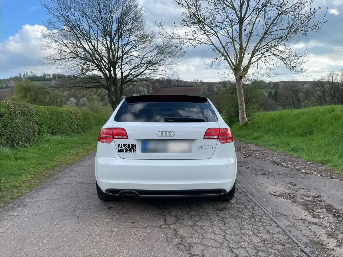 Gebraucht Audi A3 Ambition 125 PS (91 kW) 2009 Weiß Kleinwagen