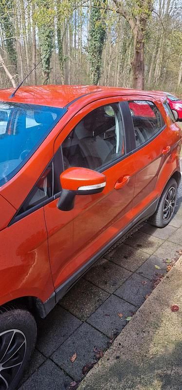 Gebraucht Ford Focus Sport 125 PS (91 kW) 2017 Orange SUV