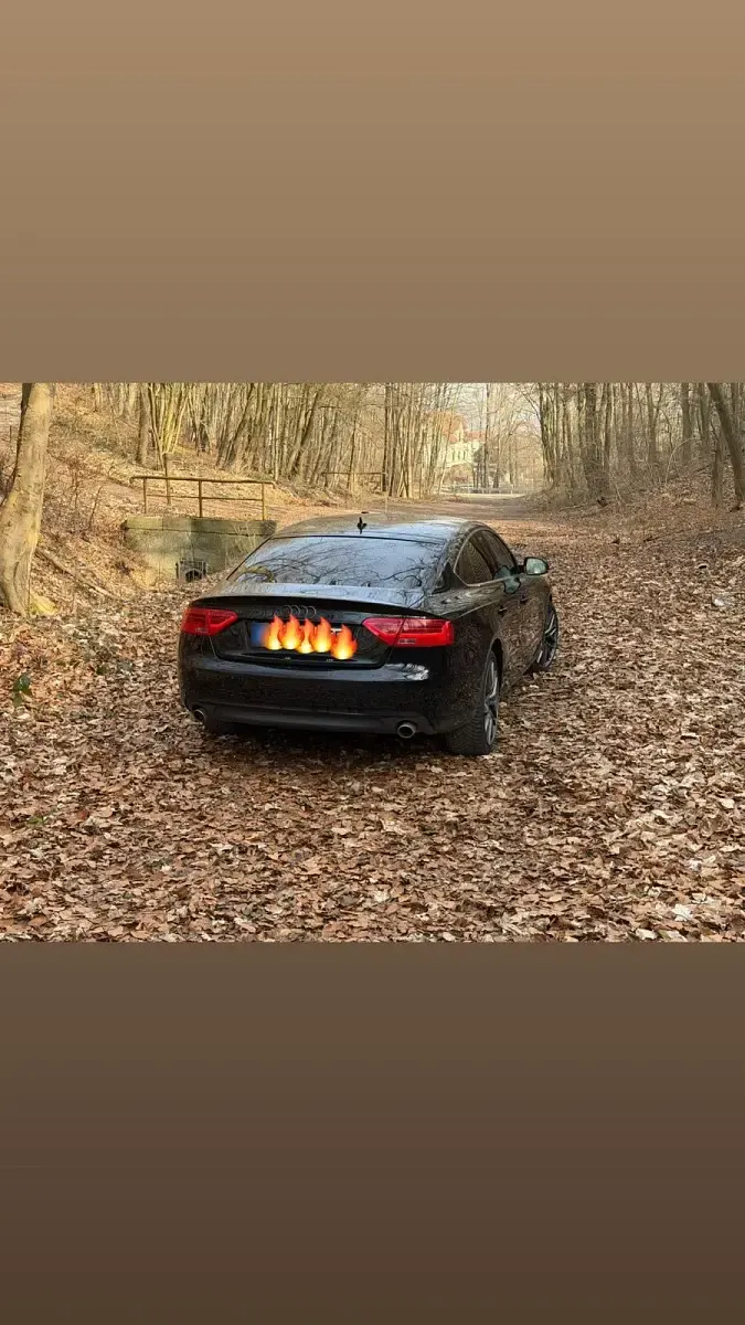 Gebraucht Audi A5 204 PS (150 kW) 2012 Schwarz Coupé