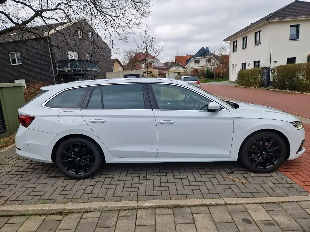 Gebraucht Skoda Octavia 149 PS (109 kW) 2020 Weiß Kombi