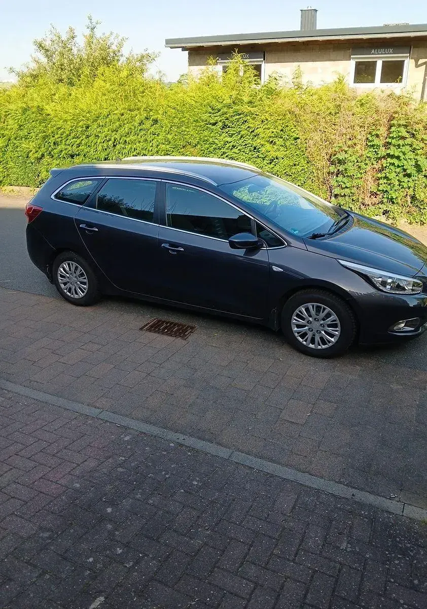 Gebraucht Kia Ceed Edition 7 135 PS (99 kW) 2015 Grau Kleinwagen
