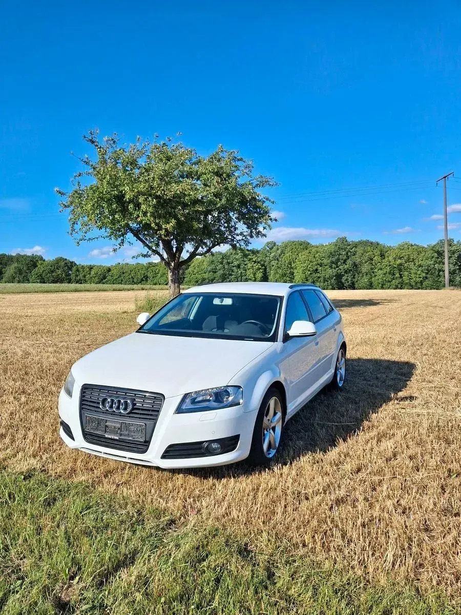 Gebraucht Audi A3 Ambition 125 PS (91 kW) 2009 Weiß Kleinwagen