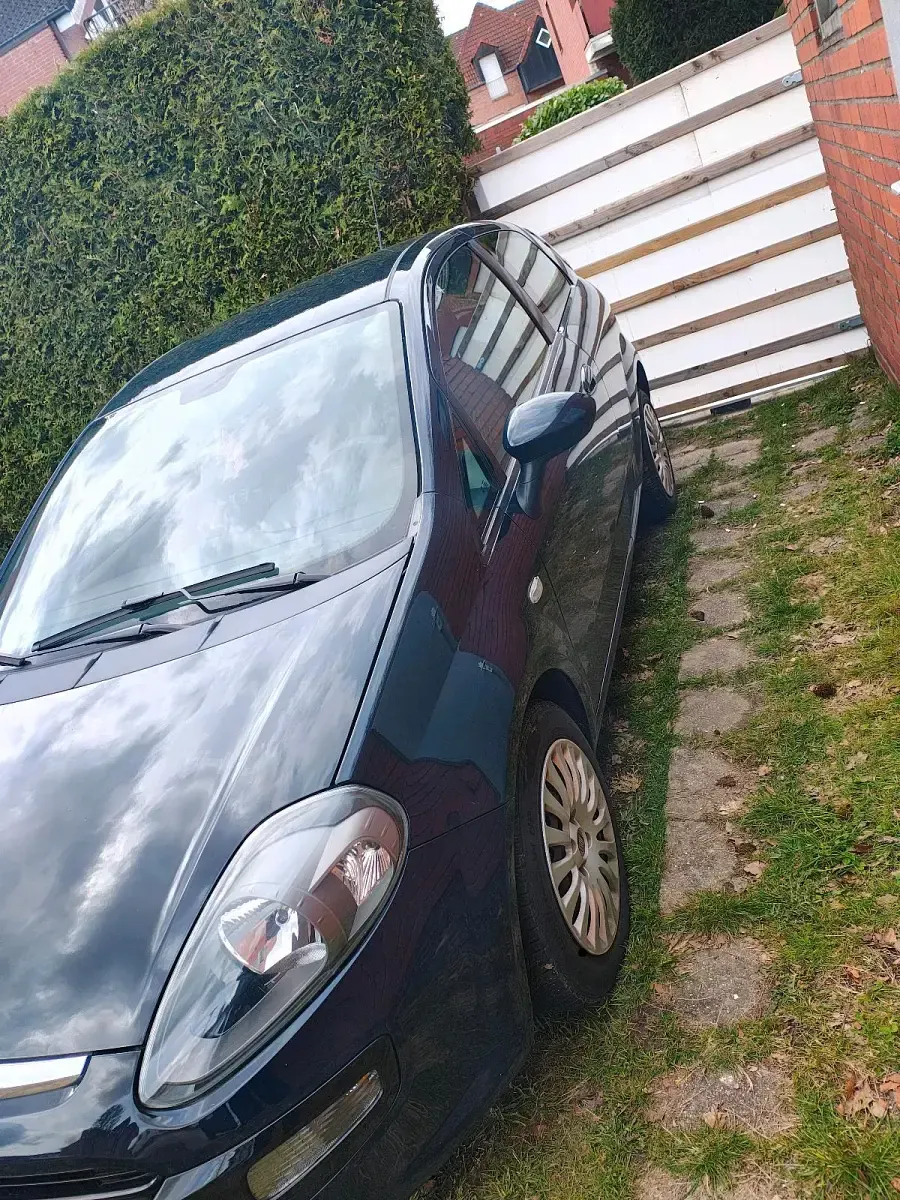 Gebraucht Fiat Punto Evo 69 PS (50 kW) 2011 Blau Kleinwagen