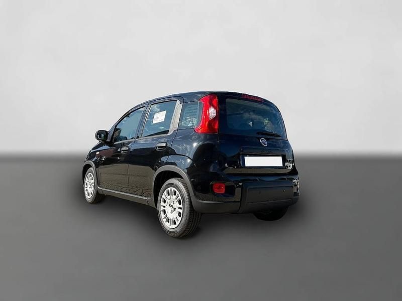Gebraucht Fiat Panda 69 PS (50 kW) 2025 Schwarz Kleinwagen