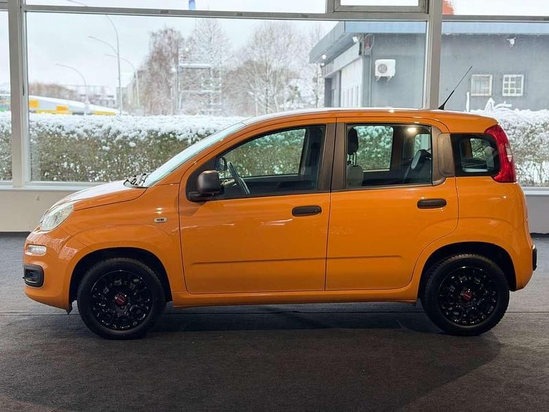 Gebraucht Fiat Panda Easy 69 PS (50 kW) 2019 Arancio solare/zucca Kleinwagen