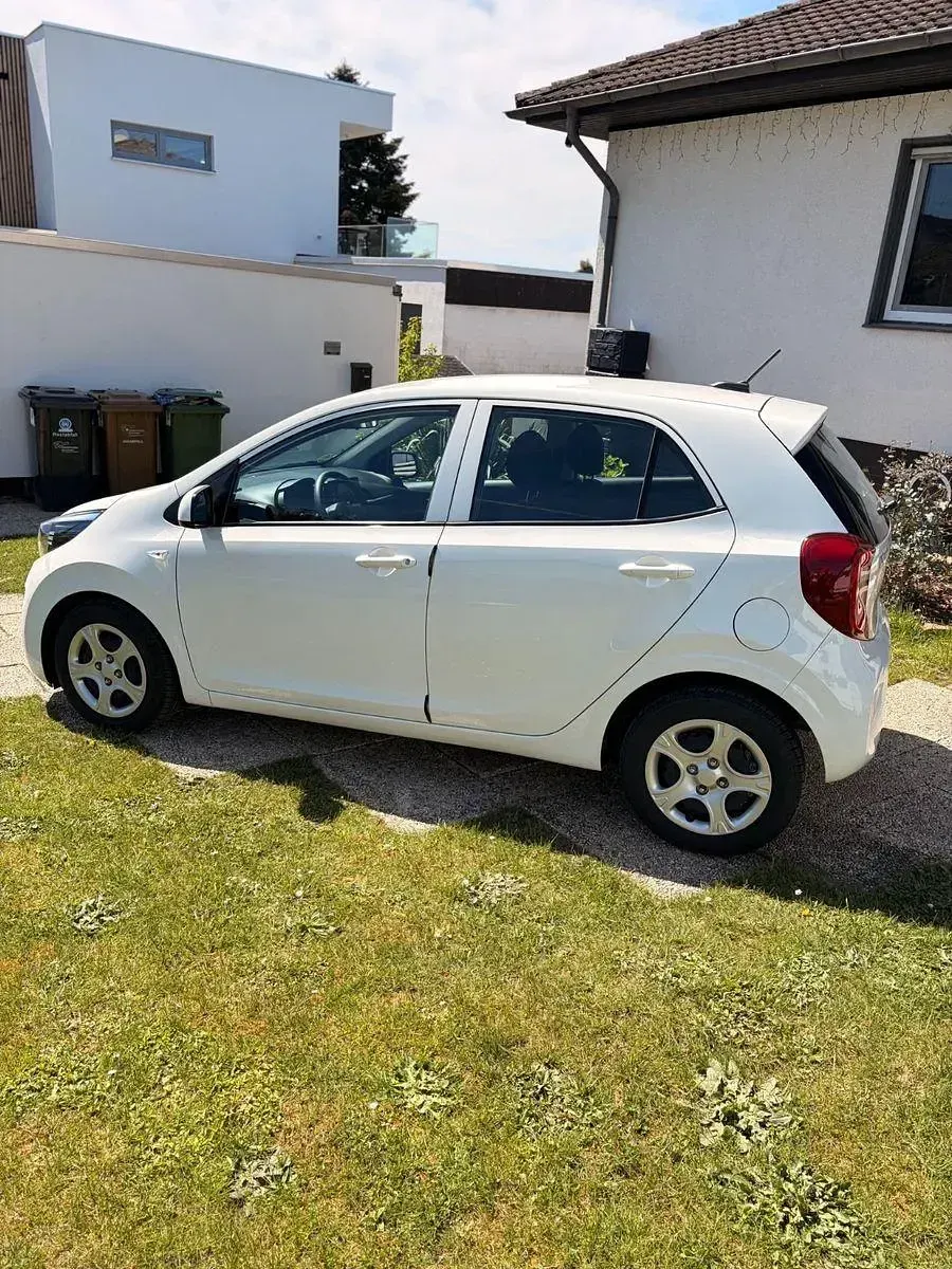 Gebraucht Kia Picanto Edition 7 69 PS (50 kW) 2023 Weiß Kleinwagen