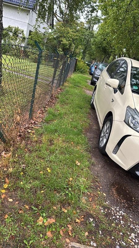 Weiß Gebraucht 2018 Toyota Prius+ Van / Kleinbus | 17.500 € (Etwas zu teuer) - Bild 1/4